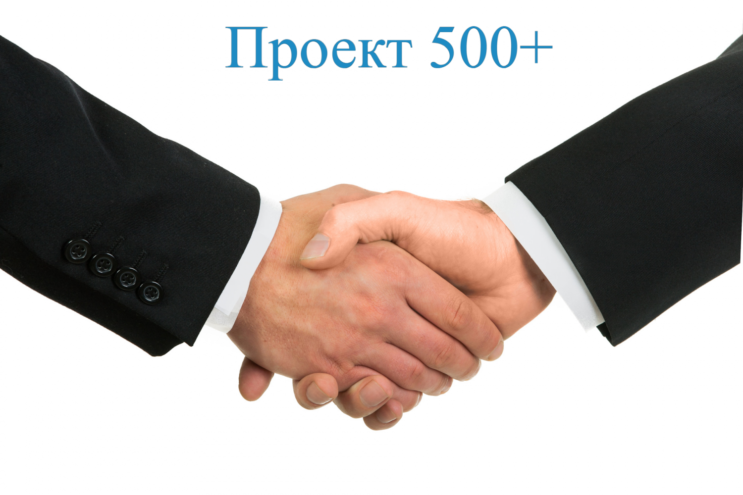 Сотрудничество - основной принцип  проекта «500+»
