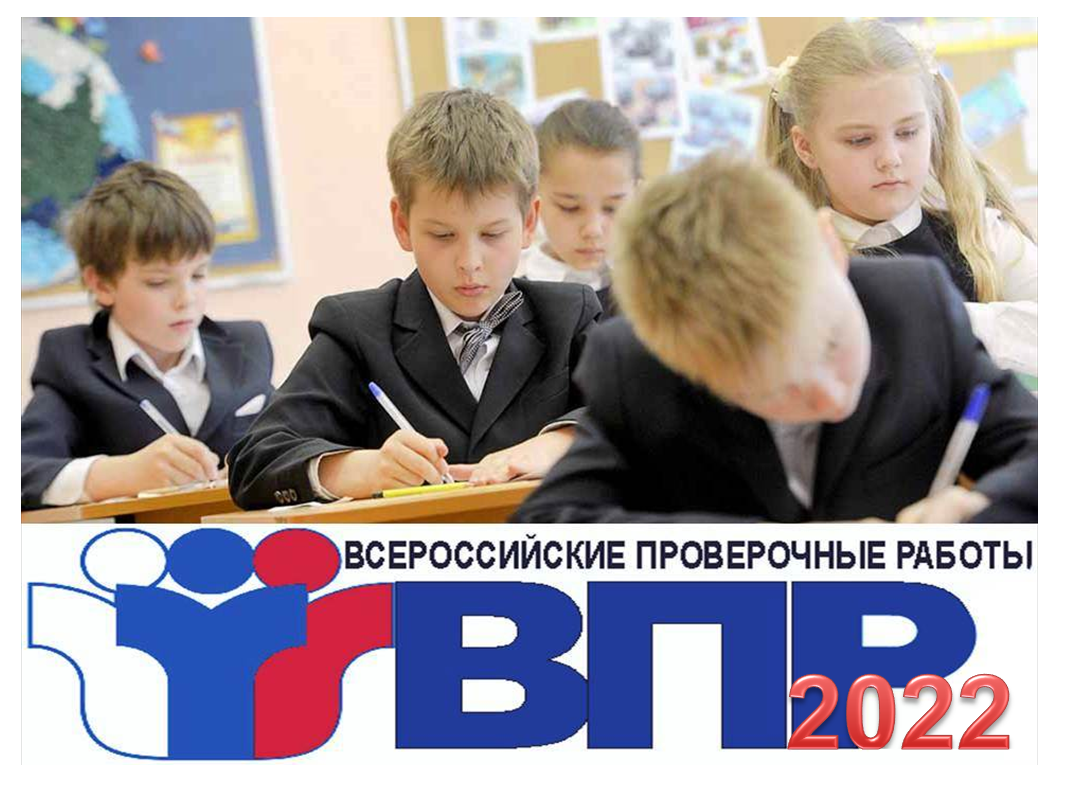 Школы Владимирской области готовятся к осеннему  периоду всероссийских проверочных работ 