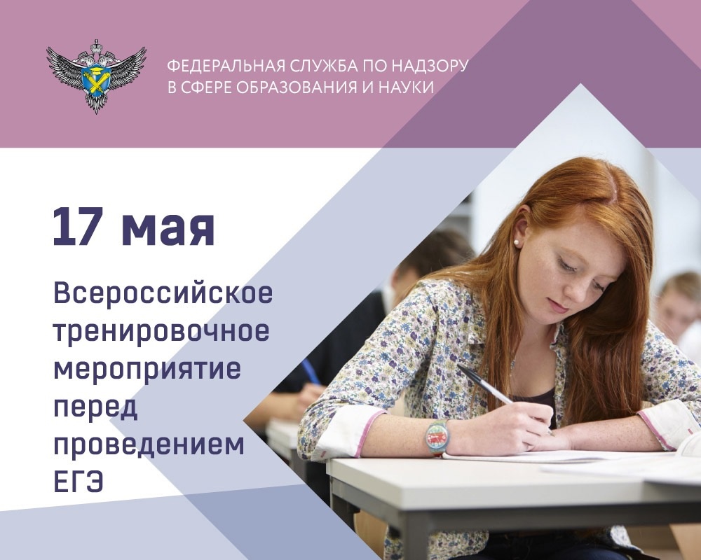 Выпускники Владимирской области приняли участие во всероссийском тренировочном экзамене в рамках подготовки к ГИА-2023