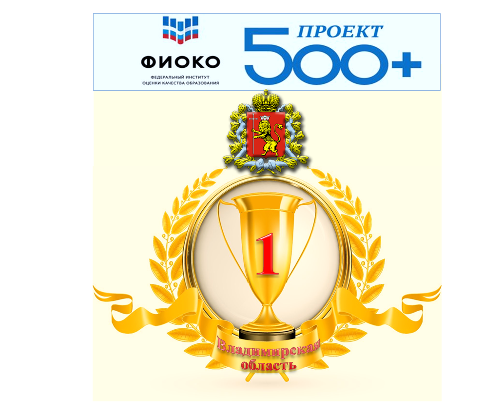 Первое место в общем рейтинге регионов проекта «500+»  - системная работа команды Владимирской области!